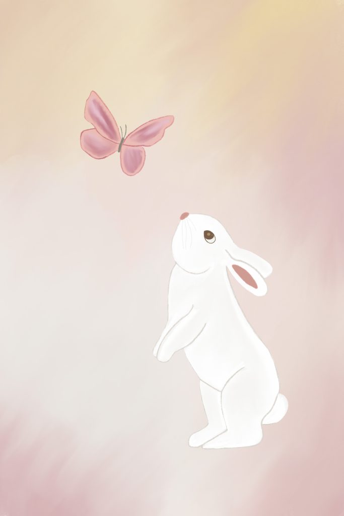 Illustration, vit kanin, rosa bakgrund