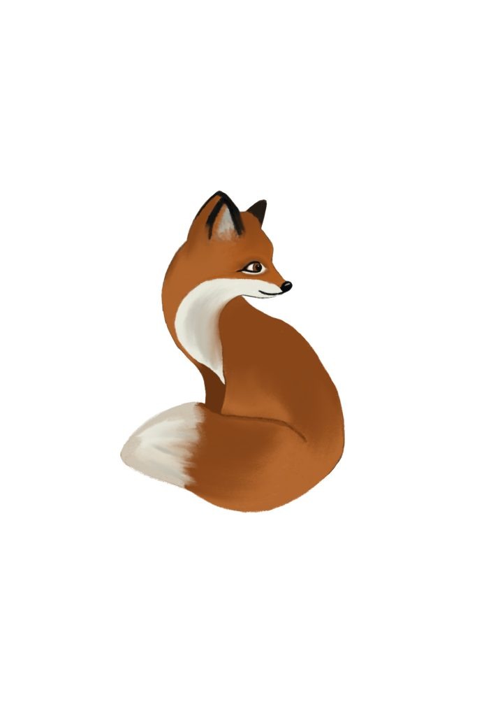 Illustration räv