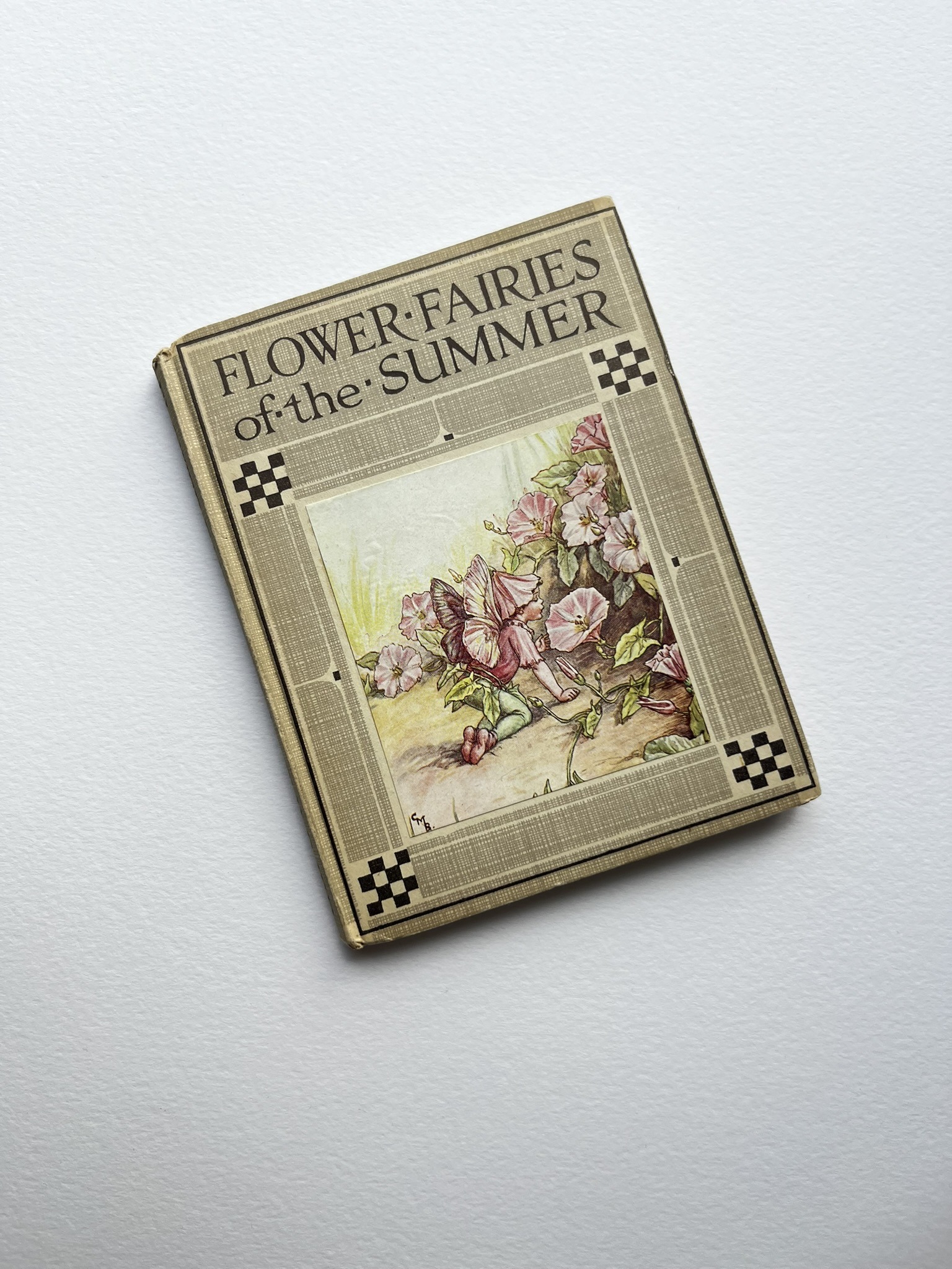 Bok: Flower Fairies of The Summer