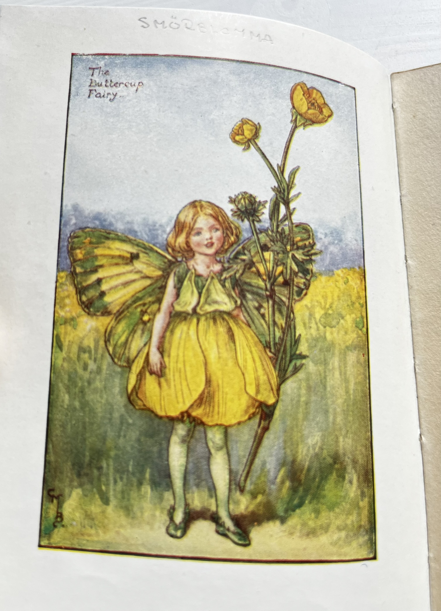 The Buttercup Fairy, Cicely Mary Barker