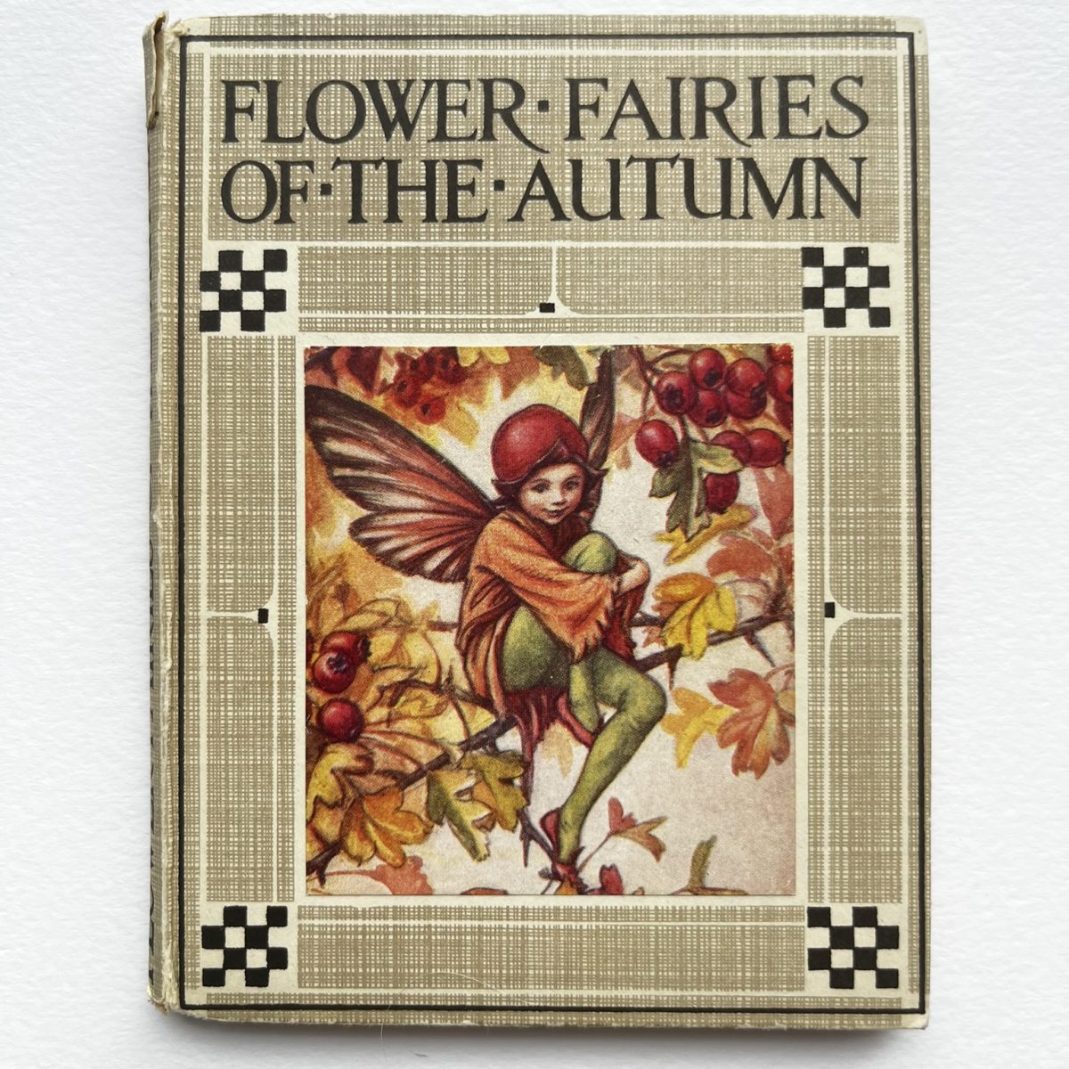 Flower Fairies of the Autumn, bok av Cecily Mary Barker