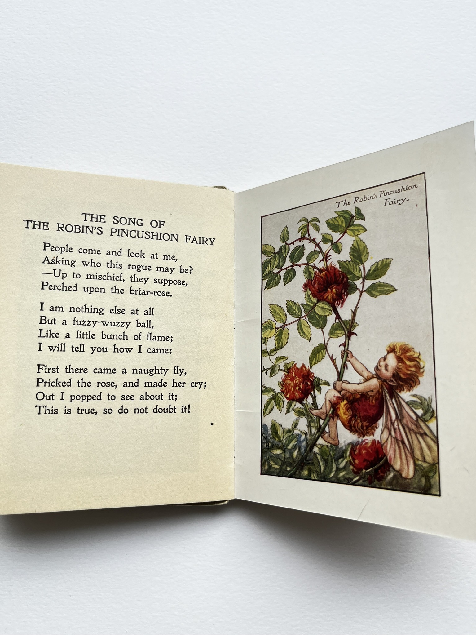 Flower Fairies of the Autumn, bok av Cecily Mary Barker