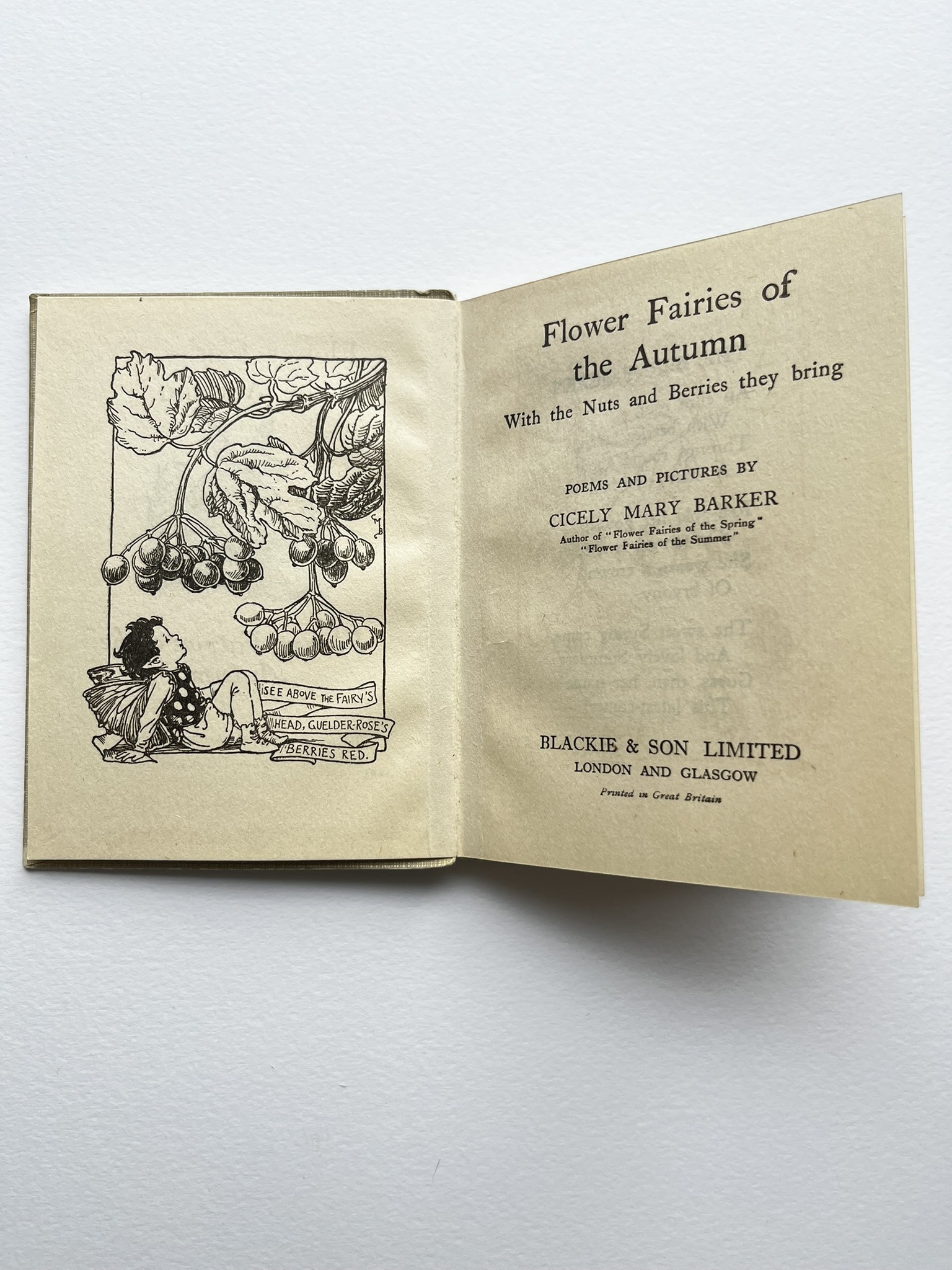 Flower Fairies of the Autumn, bok av Cecily Mary Barker