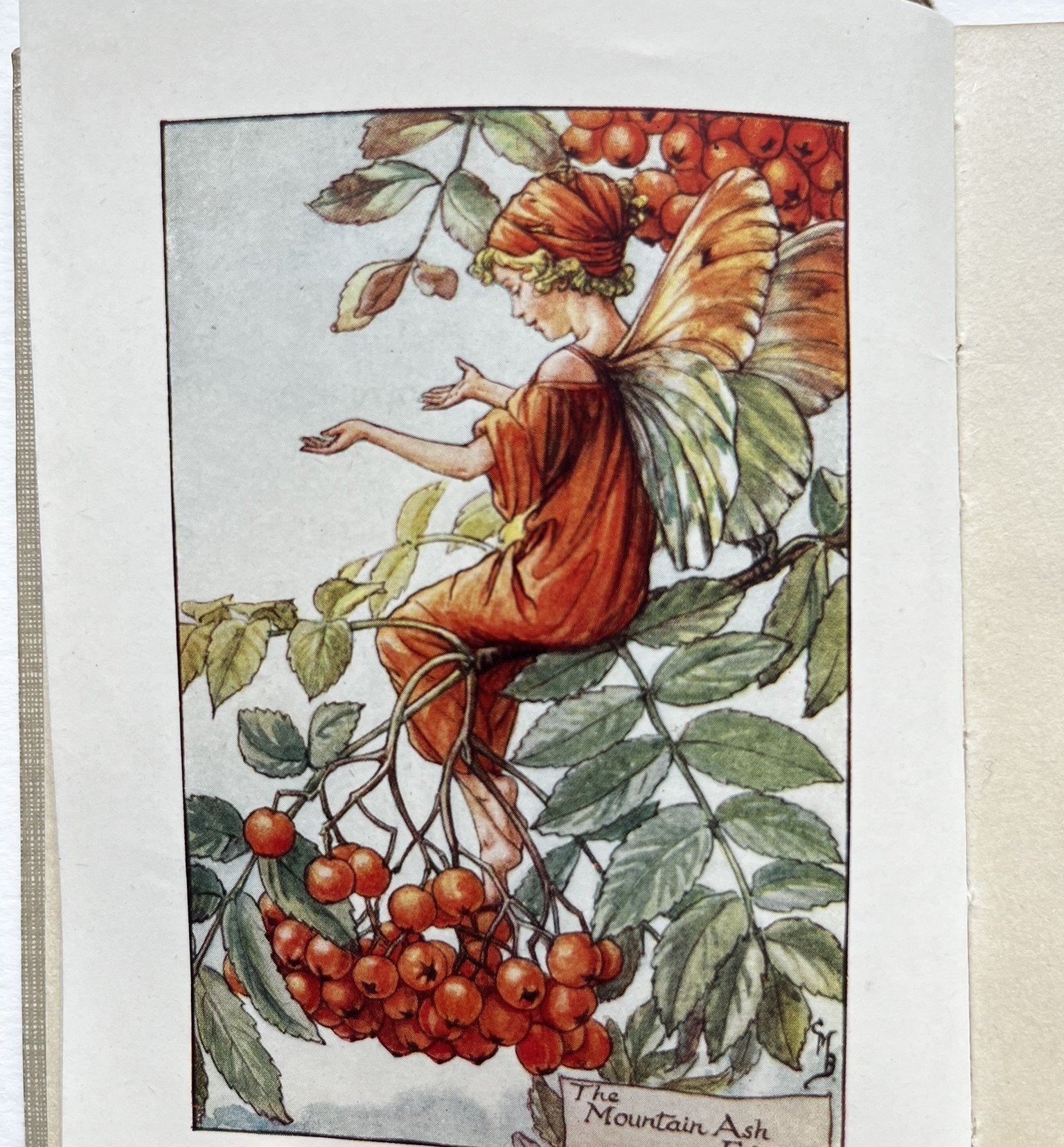 Flower Fairies of the Autumn, bok av Cecily Mary Barker