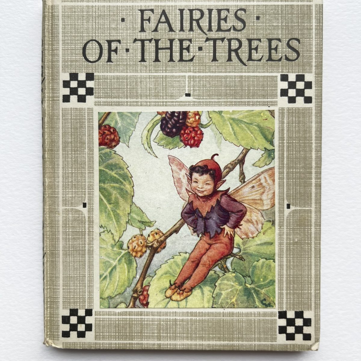 Fairies of the Trees av Cecily Mary Barker
