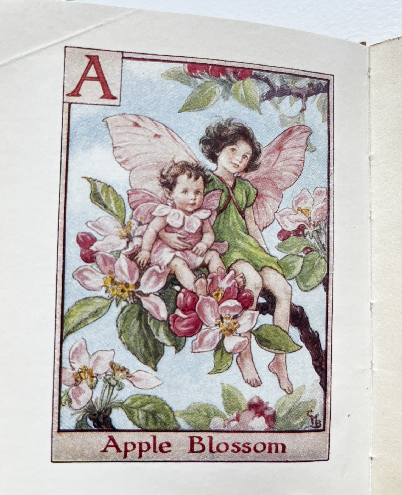 A Flower Fairy Alphabet – Cecily Mary Barker - Bild 4