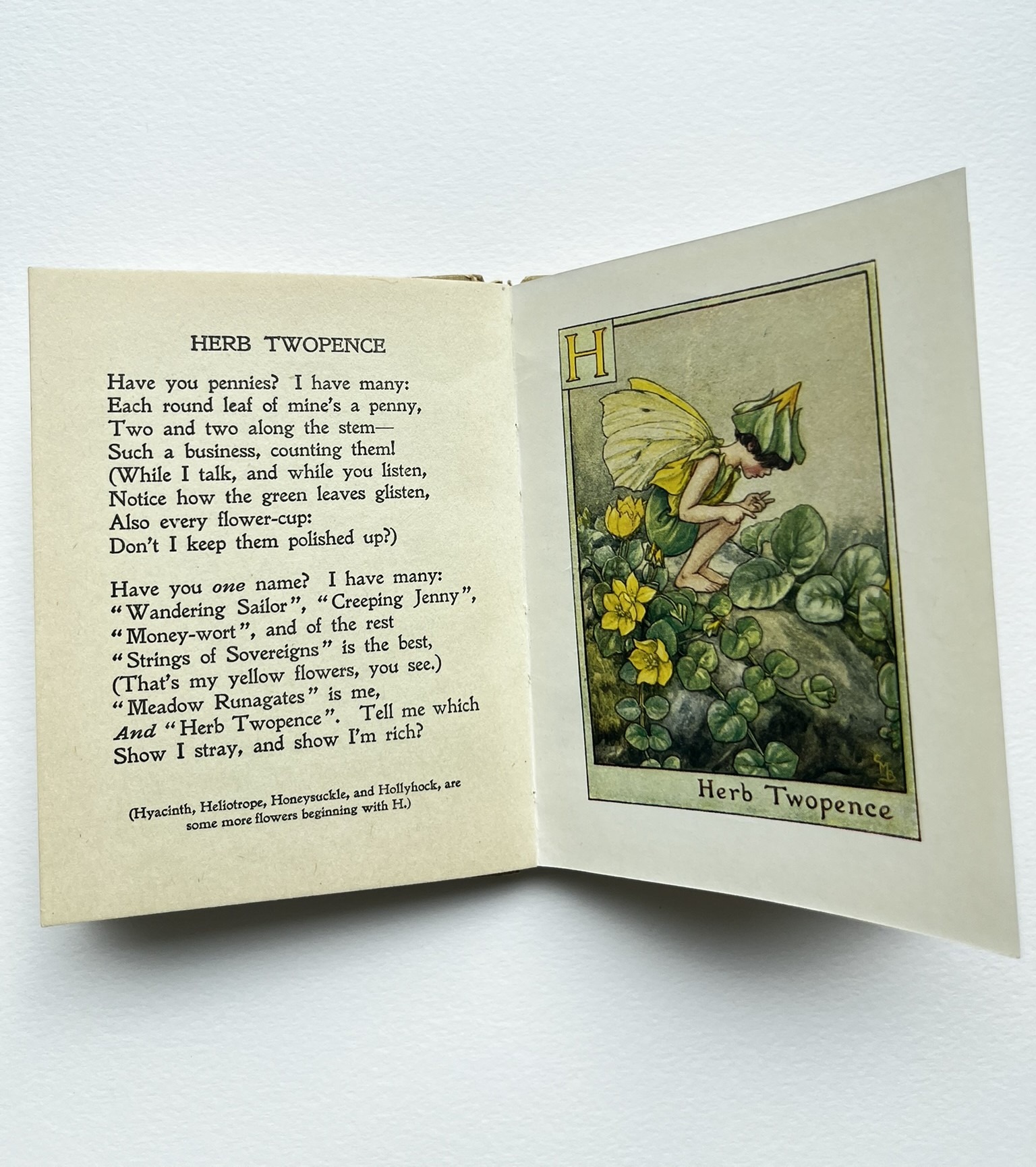A Flower Fairy Alphabet – Cecily Mary Barker - Bild 5
