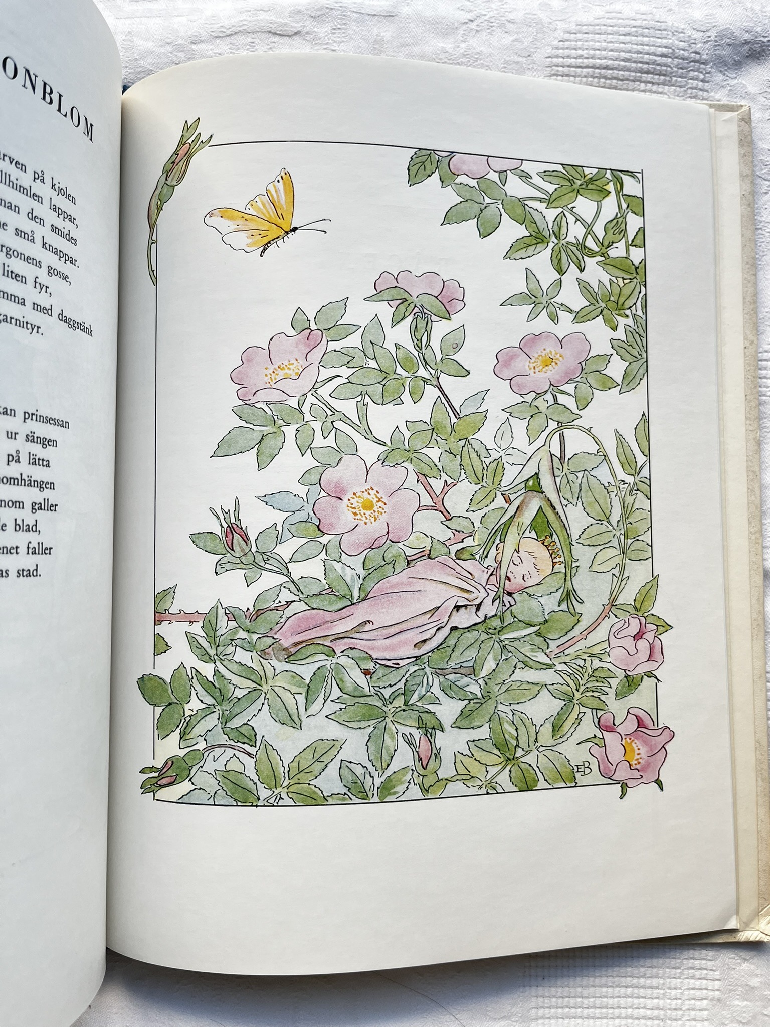 Blommornas bok – Jeanna Oterdahl & Elsa Beskow