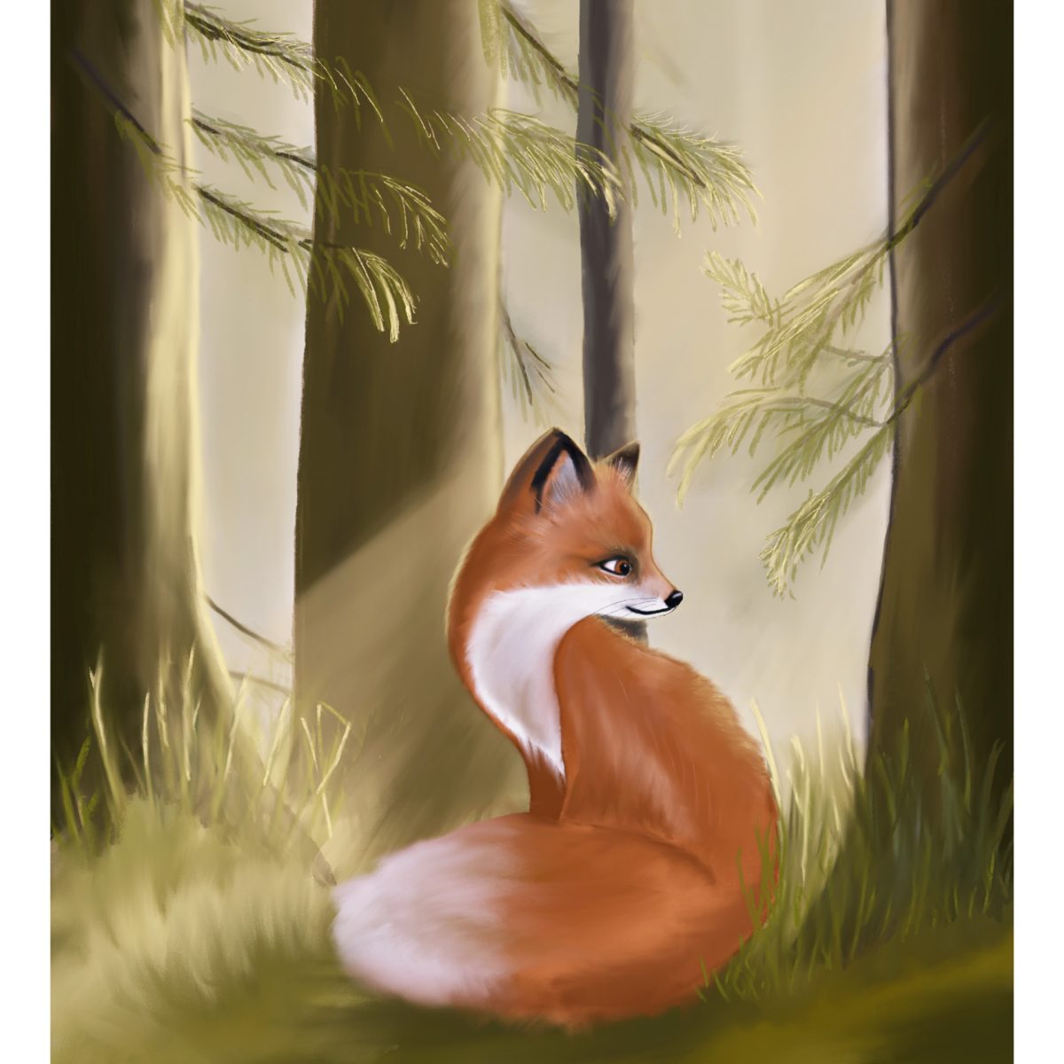 Illustrationer