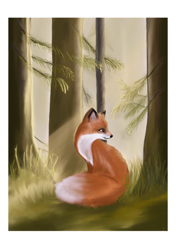 Illustration, Skogsberättelser